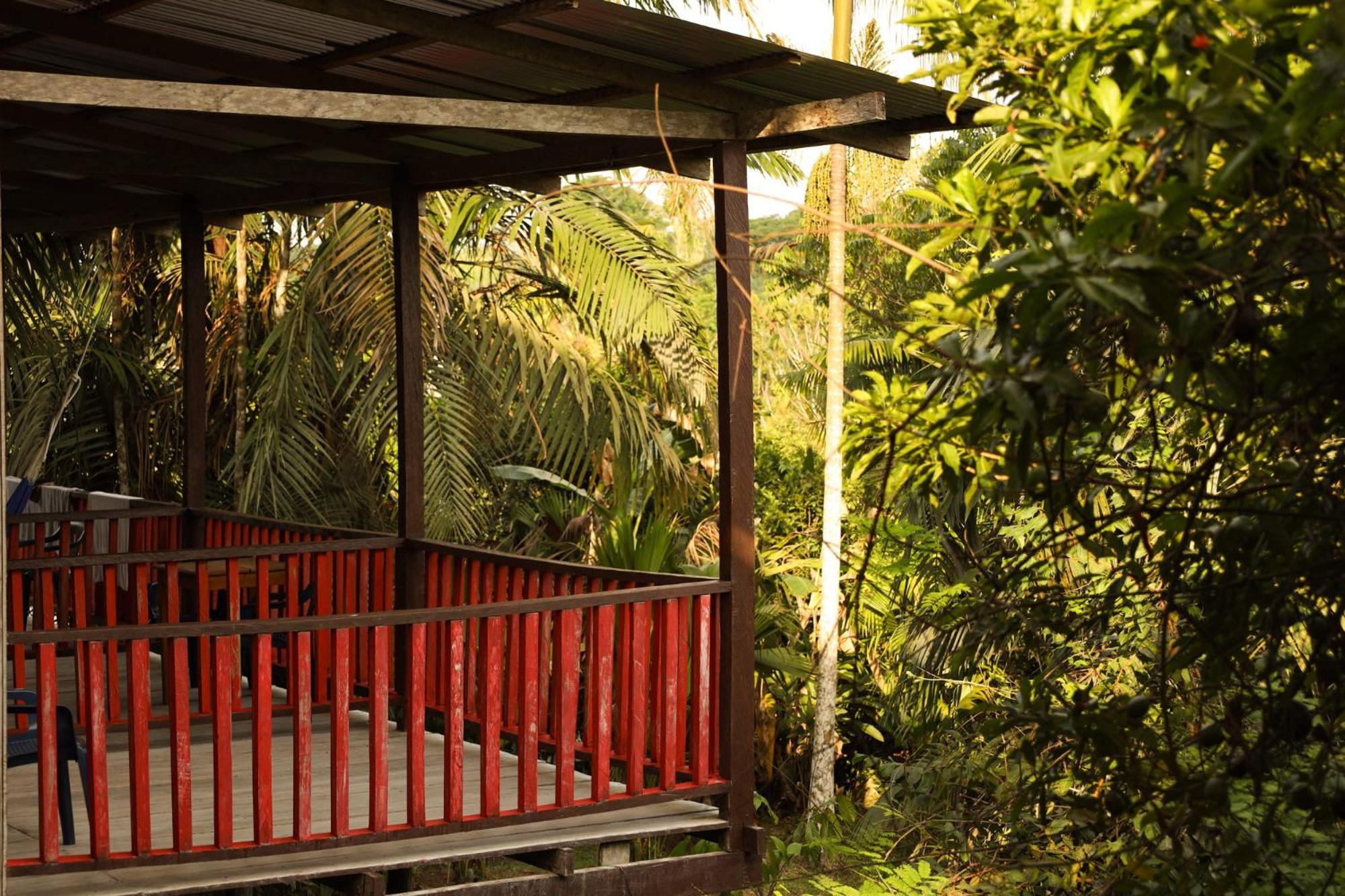 מלון לטיסייה La Ceiba, Amazonas מראה חיצוני תמונה